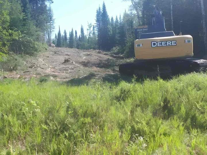 Travaux forestiers Québec