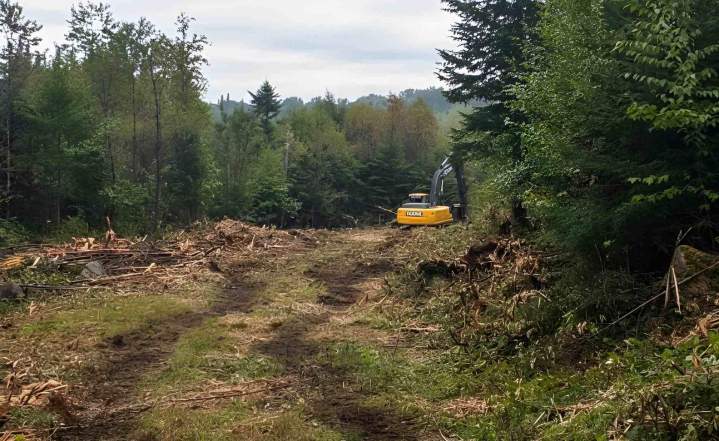 Travaux de broyage forestier Québec