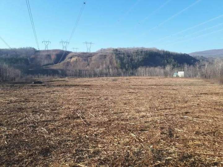 Déboisement et abattage d’arbres Québec